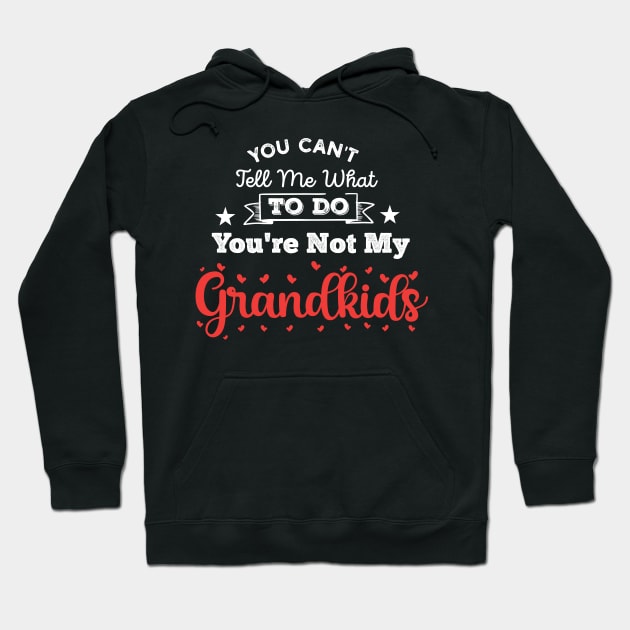 You Can't Tell Me What To Do You're Not My Granddaughter Hoodie by Gaming champion